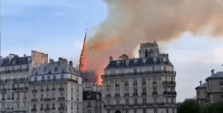 9.gif